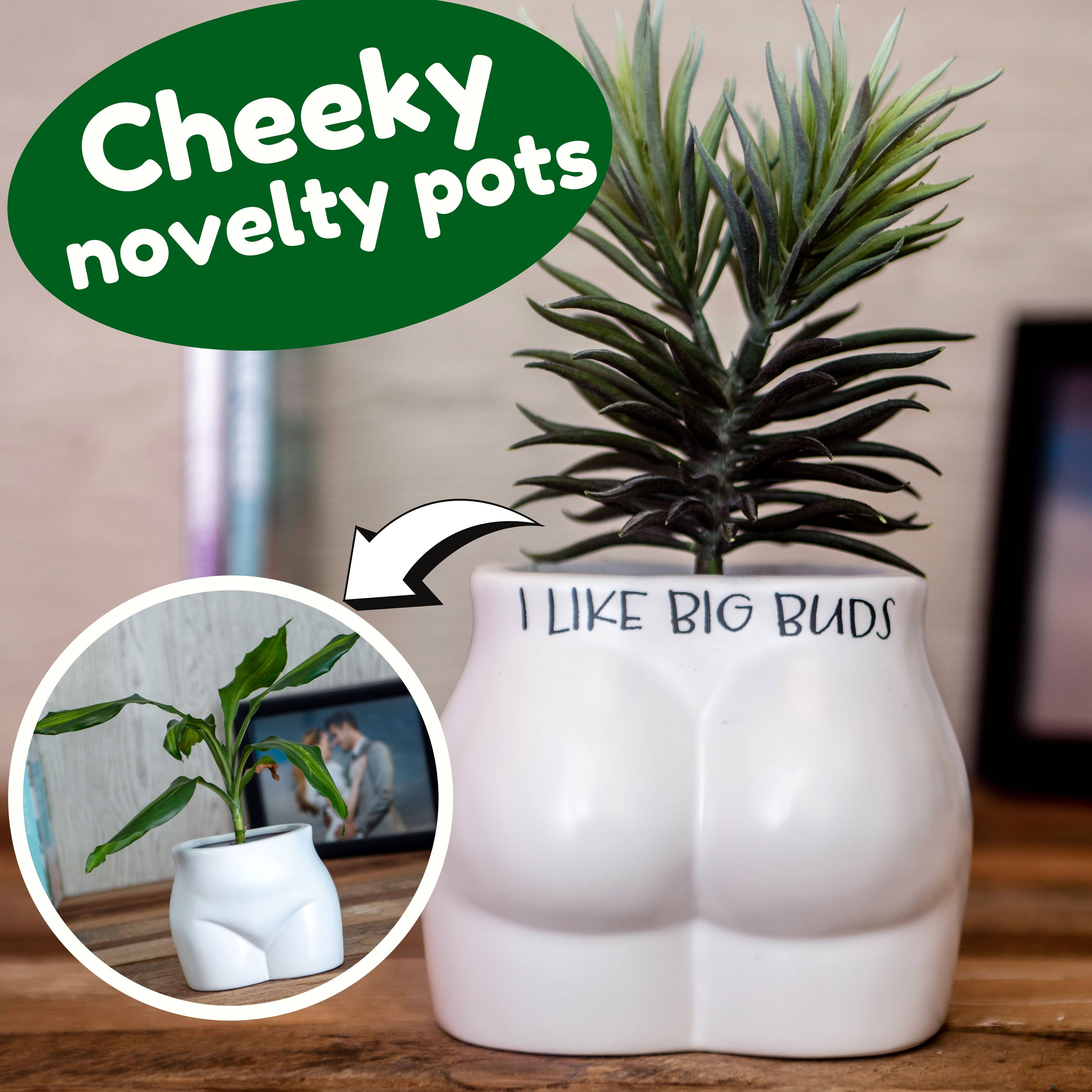 I Like Big Buds Put Some Plants On - Novelty Indoor Planter boho clothing, festival outfit, hippie style apparel | Elevated Hippie