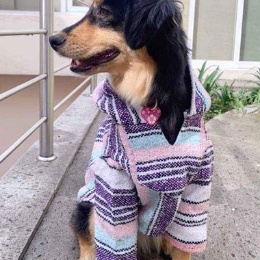 Handwoven Mexican Dog Poncho – Colorful Boho Style, Artisan Made, Machine Washable - The Elevated Hippie