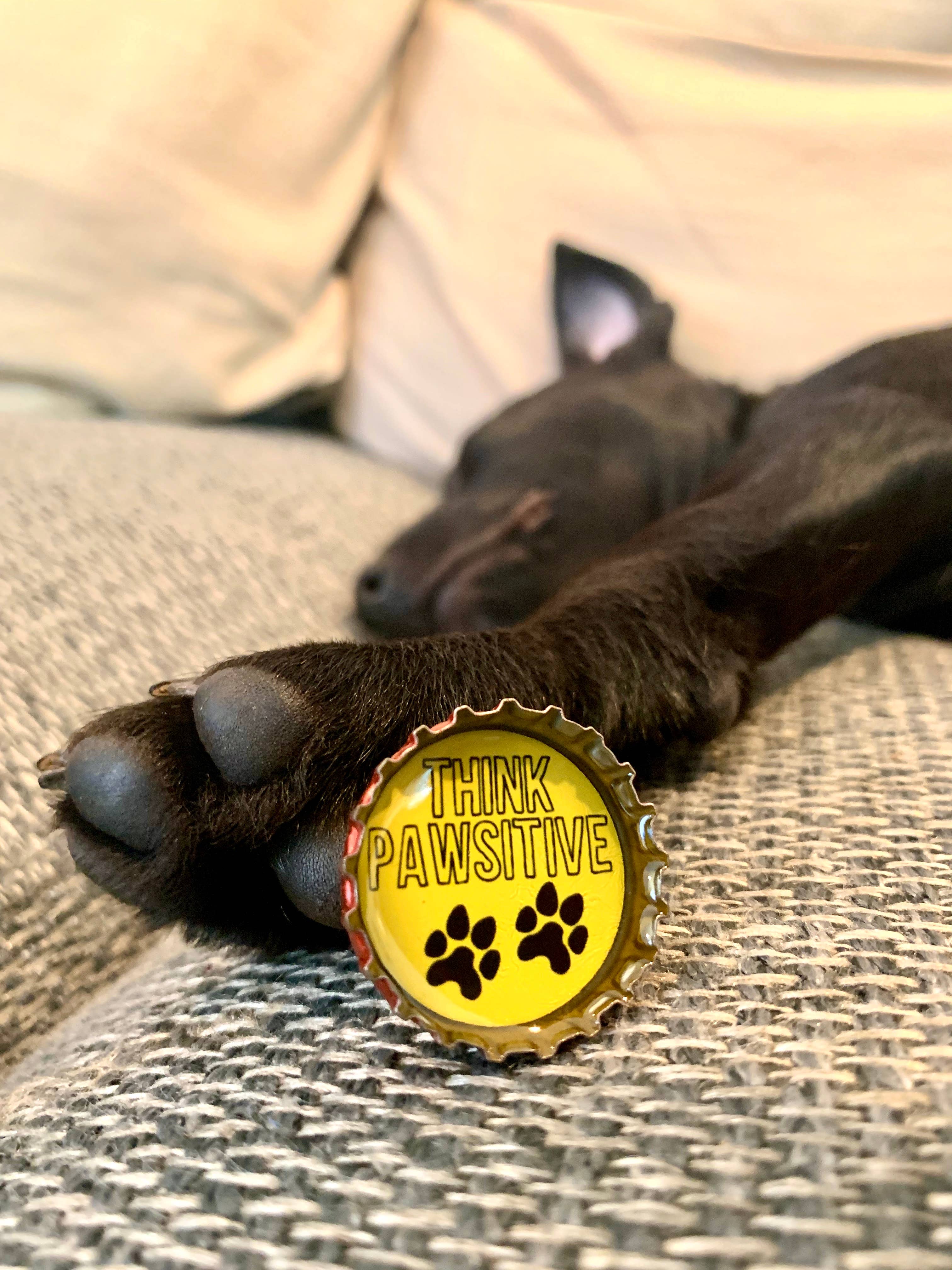 Dog Lover Magnets - Fun, Handmade & Eco-friendly - The Elevated Hippie