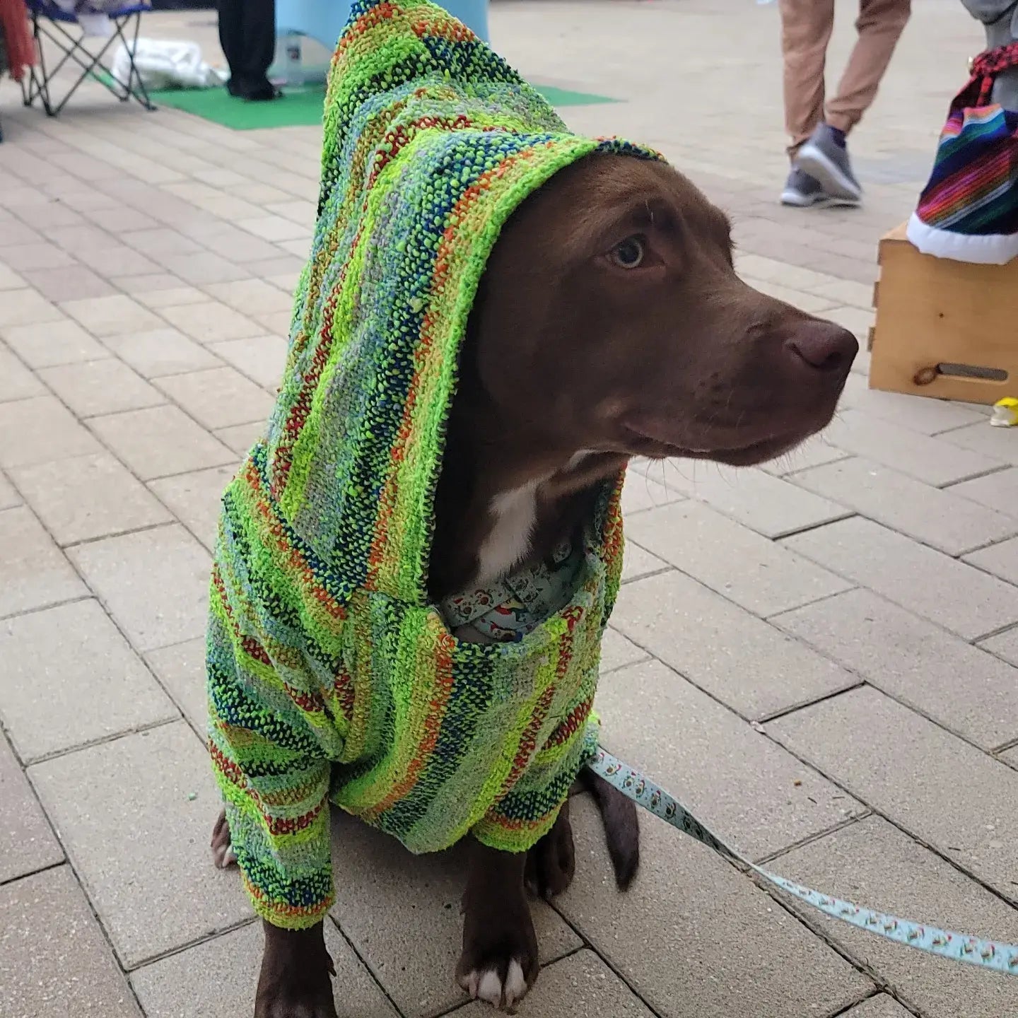Handwoven Mexican Dog Poncho – Colorful Boho Style, Artisan Made, Machine Washable - The Elevated Hippie