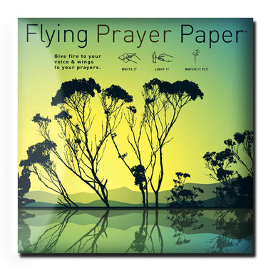 REFLECTION, Mindfulness Manifest Ritual, Metaphysical Supply