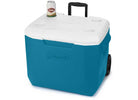 Chiller Cooler 60qt WHL 5883 Oc/w/w SIOC - image 2