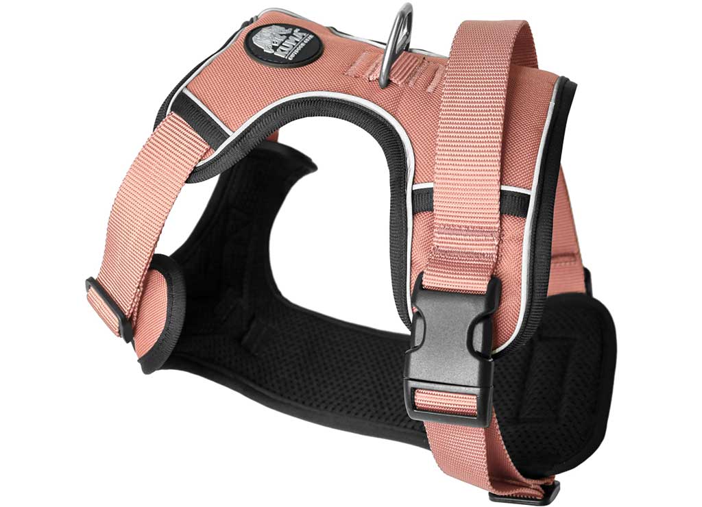 KUMA LAZY BEAR DOG Harness - Medium - Flamingo - image 1