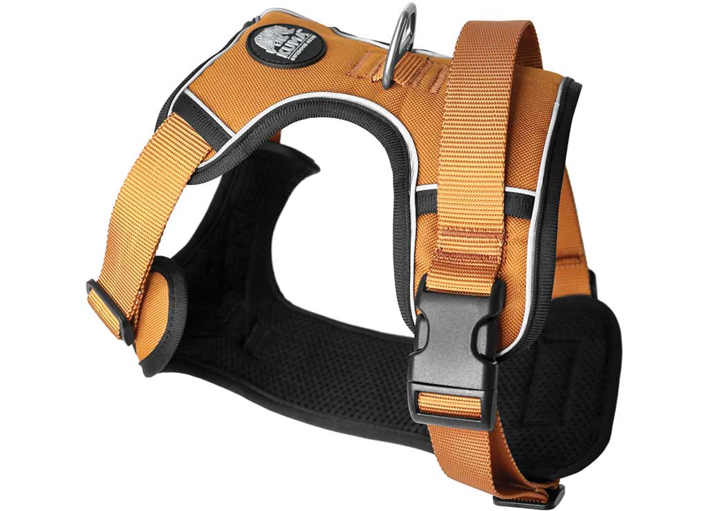 KUMA LAZY BEAR DOG Harness - Medium - Sierra - image 1