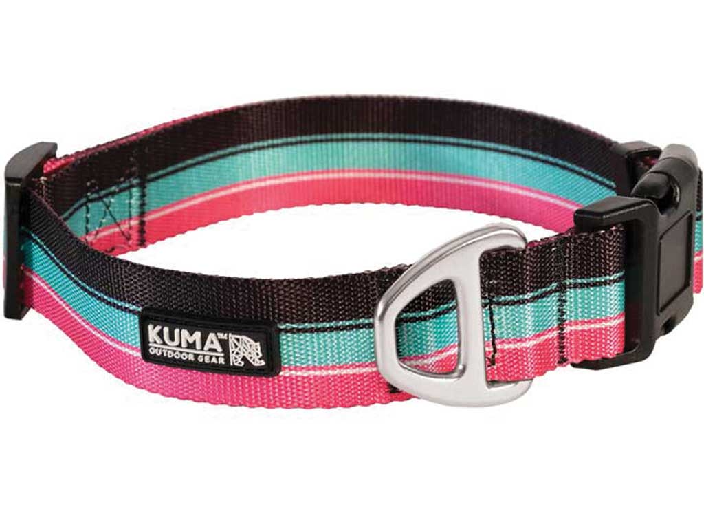 KUMA Backtrack DOG Collar - Medium - 14-20in - VICE - Black/pink/teal - image 1