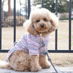 Handwoven Mexican Dog Poncho – Colorful Boho Style, Artisan Made, Machine Washable - The Elevated Hippie