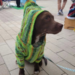 Handwoven Mexican Dog Poncho – Colorful Boho Style, Artisan Made, Machine Washable - The Elevated Hippie