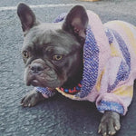 Handwoven Mexican Dog Poncho – Colorful Boho Style, Artisan Made, Machine Washable - The Elevated Hippie