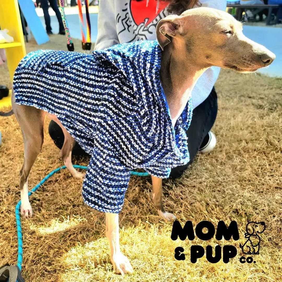 Handwoven Mexican Dog Poncho – Colorful Boho Style, Artisan Made, Machine Washable - The Elevated Hippie