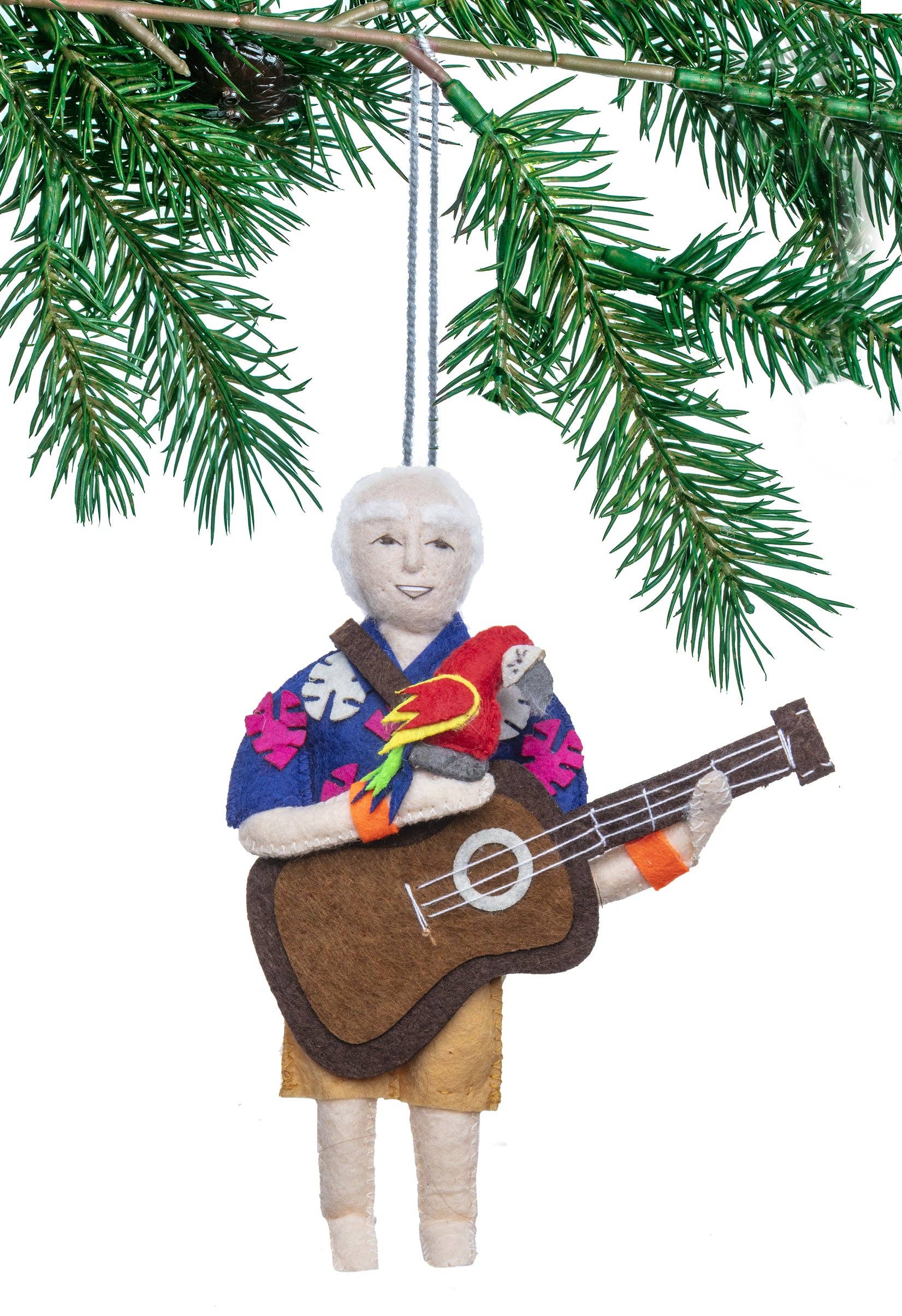 Jimmy Buffett - The Elevated Hippie