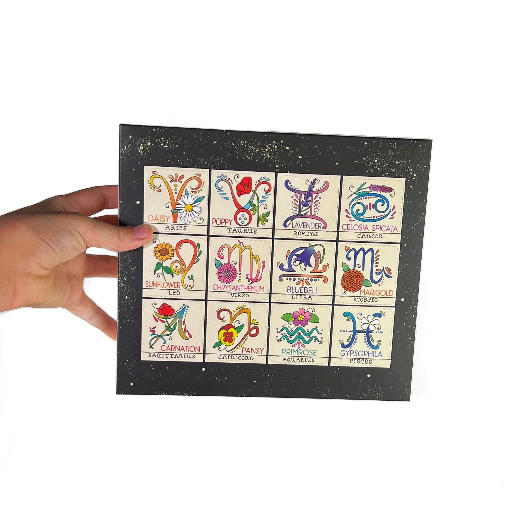 Zodiac Flower Seed Ball Flower Planting Set - The Elevated Hippie