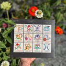 Zodiac Flower Seed Ball Flower Planting Set - The Elevated Hippie