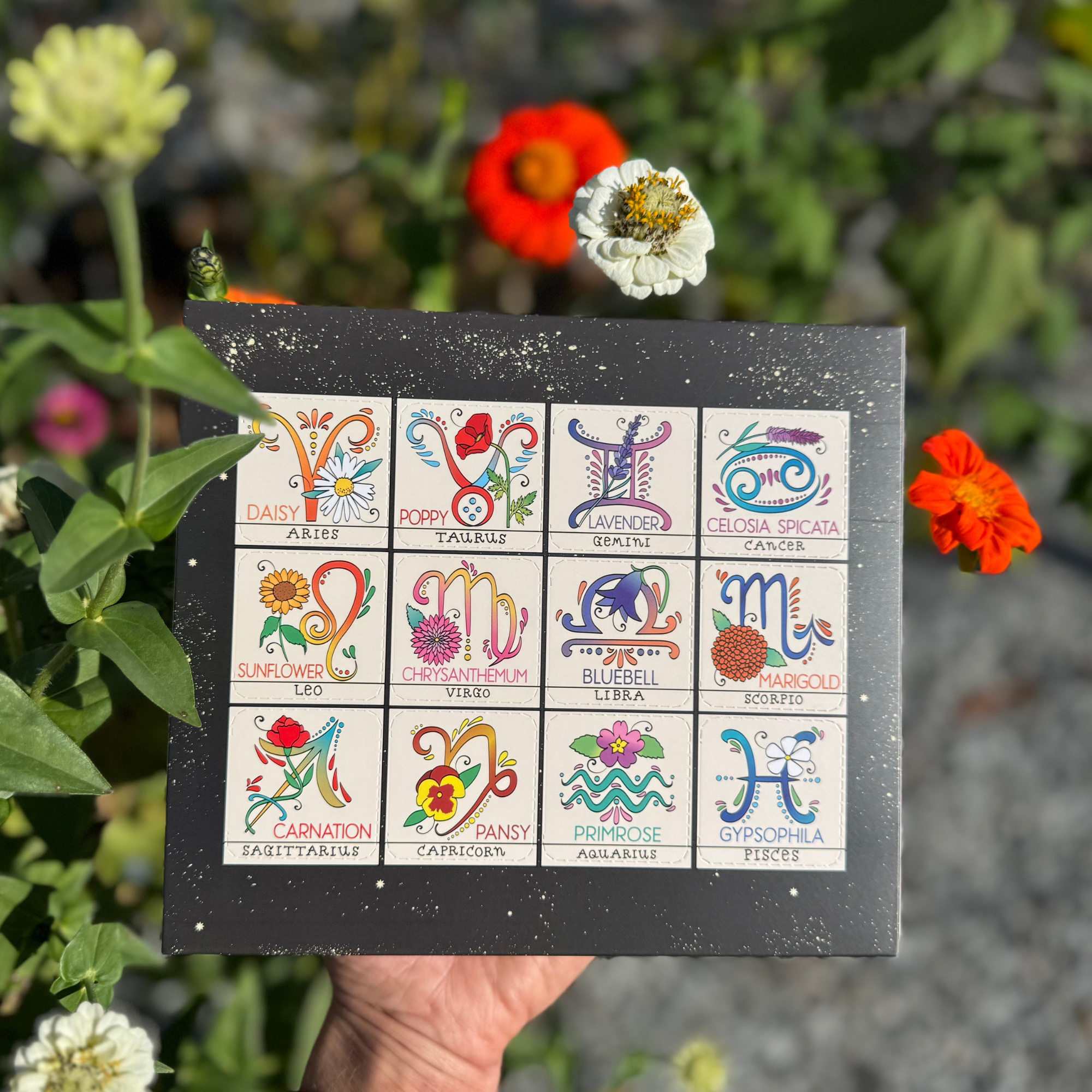 Zodiac Flower Seed Ball Flower Planting Set - The Elevated Hippie