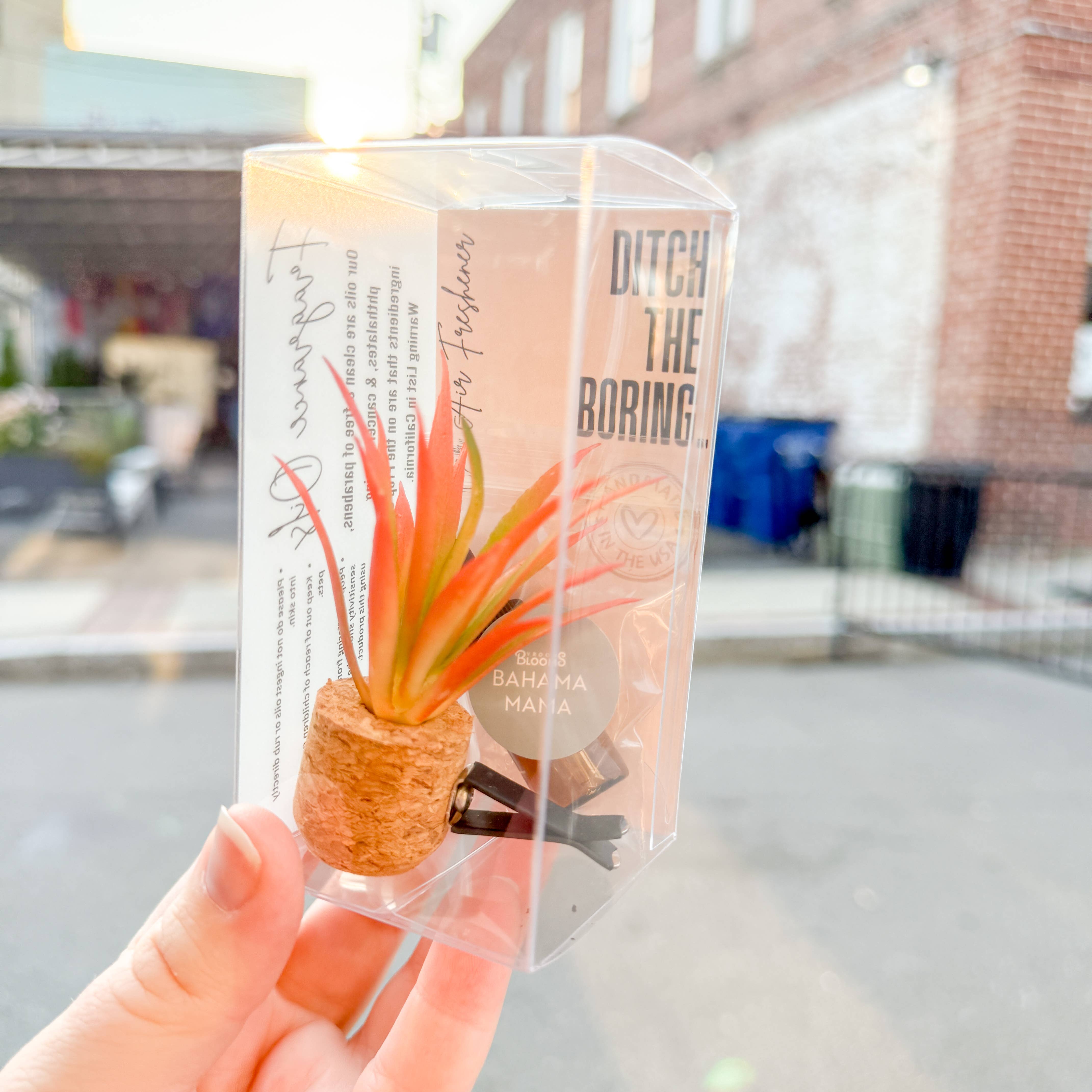Orange Spikey Plant Vent Clip Car Air Freshener (Reusable) - The Elevated Hippie