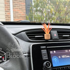 Orange Spikey Plant Vent Clip Car Air Freshener (Reusable) - The Elevated Hippie